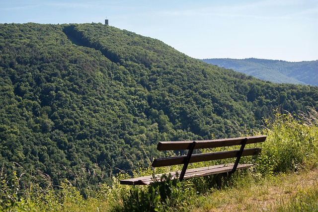 Entdecke die besten Wanderrouten in Rheinland-Pfalz - von der Taunus Route bis zur Pfälzer Weinwanderweg. Erlebe Natur & Kultur hautnah mit unserem Reiseführer.